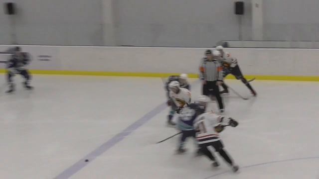 13.10.18 Дивизион «Любитель» «Феникс» ПМГМУ – «Зубастые Акулы» МГМСУ