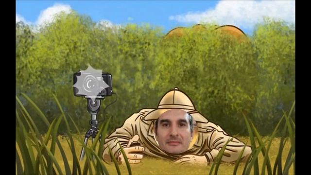 Radikal Darts Safari Feat смотреть онлайн