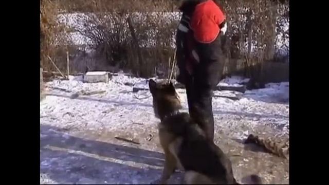 Gyossi s Berega De-Friz смотреть онлайн