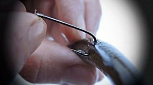 5 способов как насадить живца.