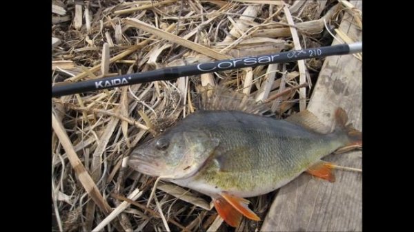 Видео обзор спиннинга ультралайт Каида Corsar 2,1 метра, 2-8 грамм