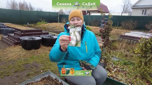 4 лидера у баклажанов! смотреть онлайн