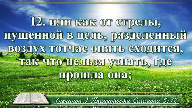 Книга премудрости Соломона с музыкой глава 5 читаем и слушаем смотреть онлайн