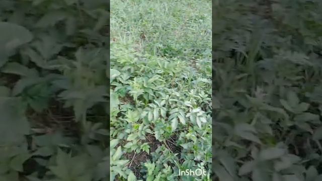 Магазин без денег смотреть онлайн