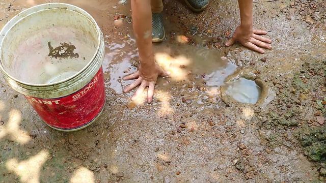 Best Fishing in Hole By Python | How To Catch Unique Fish | Python Catch Big Fish From Hole #008 смотреть онлайн