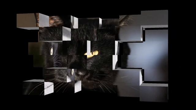 Животные милионеры которые живут лучше людей... смотреть онлайн