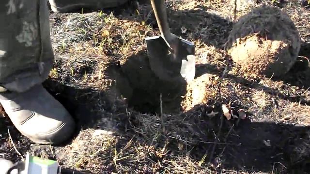 Поиск кладов на поселении 18-20 век.Тесоро смотреть онлайн