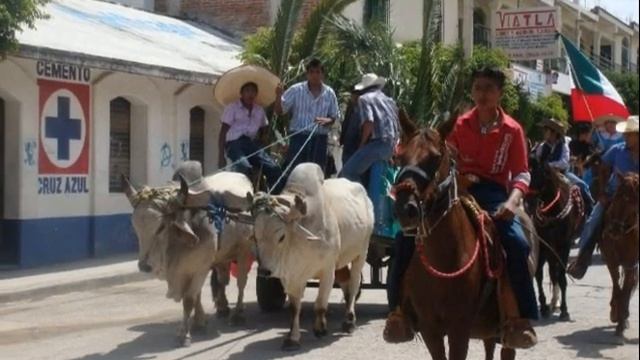 Tlacolula de Matamoros смотреть онлайн