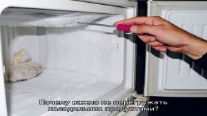 Через какое время должен отключаться холодильник?