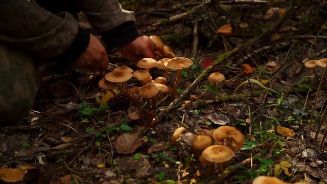 ДЕРЕВЕНСКИЙ РОМАН ДЛИННОЮ В ЖИЗНЬ смотреть онлайн