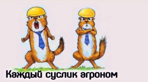 АВТОРСКАЯ ПЕСНЯ - КАЖДЫЙ СУСЛИК АГРОНОМ (А. КРАВЦОВ)