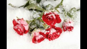 ТЫ МНЕ ВЕРИШЬ ИЛИ НЕТ?