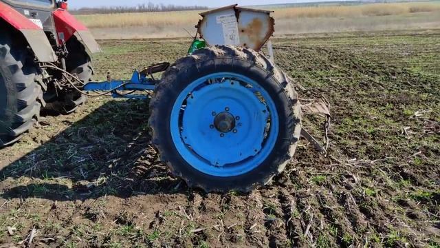 Вносим селитру. Всходы ярового ячменя. МТЗ, СЗ, Газончик. смотреть онлайн