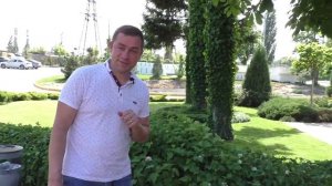 Нюансы стрижки живых изгородей из быстрорастущих кустарников Пузыреплодник калинолистный.