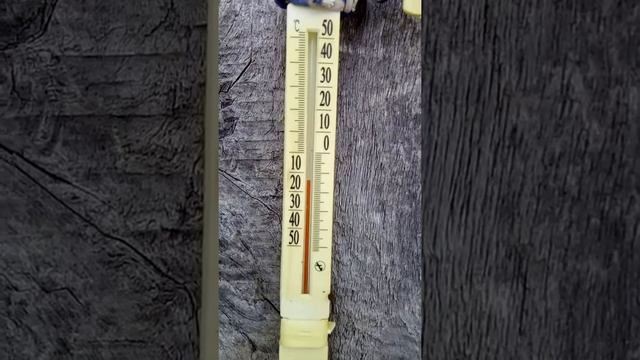 Очень хорошая Незамерзайка -30, и погода -14. Результат.