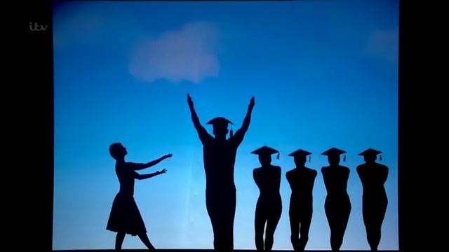 Attraction Semi Final - Britain's Got Talent 2013 /Hungarian Shadow Dance Group./