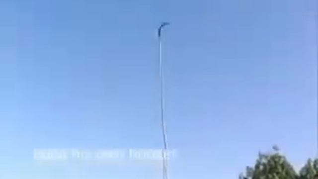 Как собирают плоды Баобаба