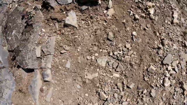 Born To Run Xero Shoe Mesa Trail II Review | Minimal Running Shoe смотреть онлайн