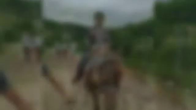 3 Д класс на прогулке. смотреть онлайн