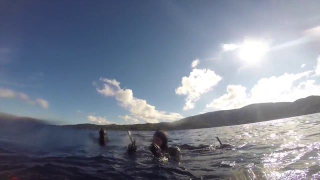 GoPro HD: -24m CWT freediving смотреть онлайн