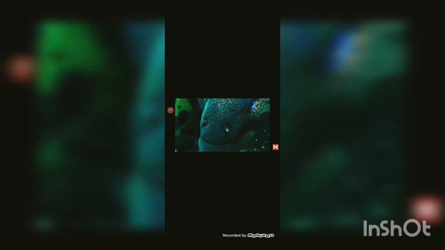 Обзор на самые опасные рот из животных смотреть онлайн