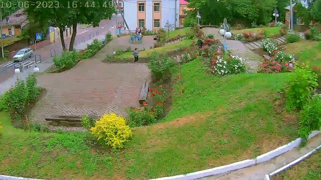 В розарий «Морса» за букетом под прицелом видеокамер сходила пара мозырян смотреть онлайн