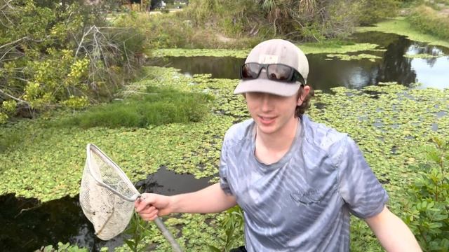 Trapping Aquarium Fish in ABANDONED SPILLWAY! смотреть онлайн