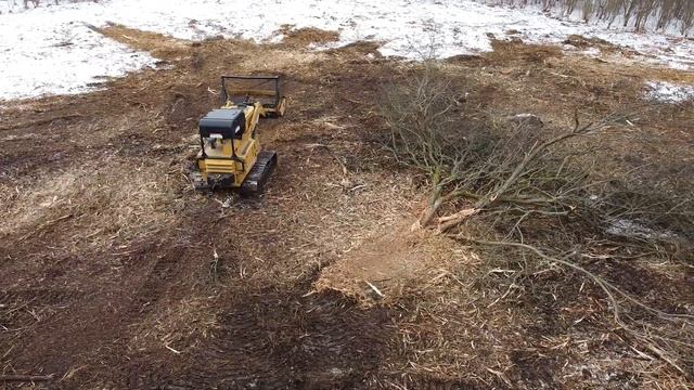 Очистка заросшей территории (камыша) Мульчирование кустарников смотреть онлайн