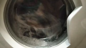 Стиральная машина indesit iwuc40851: Синтетика 40° 800 об/мин + доп полоскание