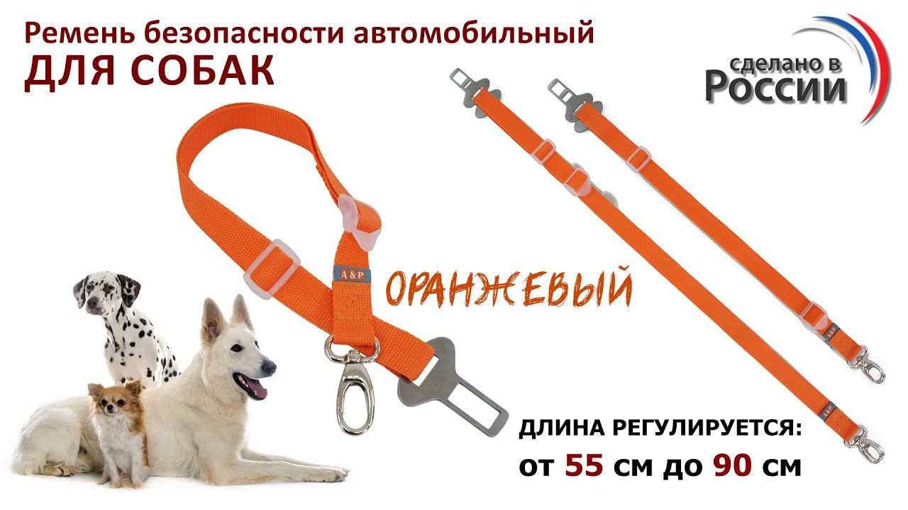Ремень безопасности для собак в автомобиль, цвет оранжевый. Промо-ролик.