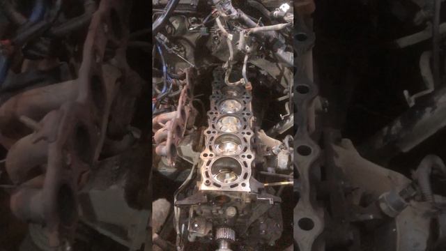 Чайзер 1jz Ge Vvt Chaser Jzx100