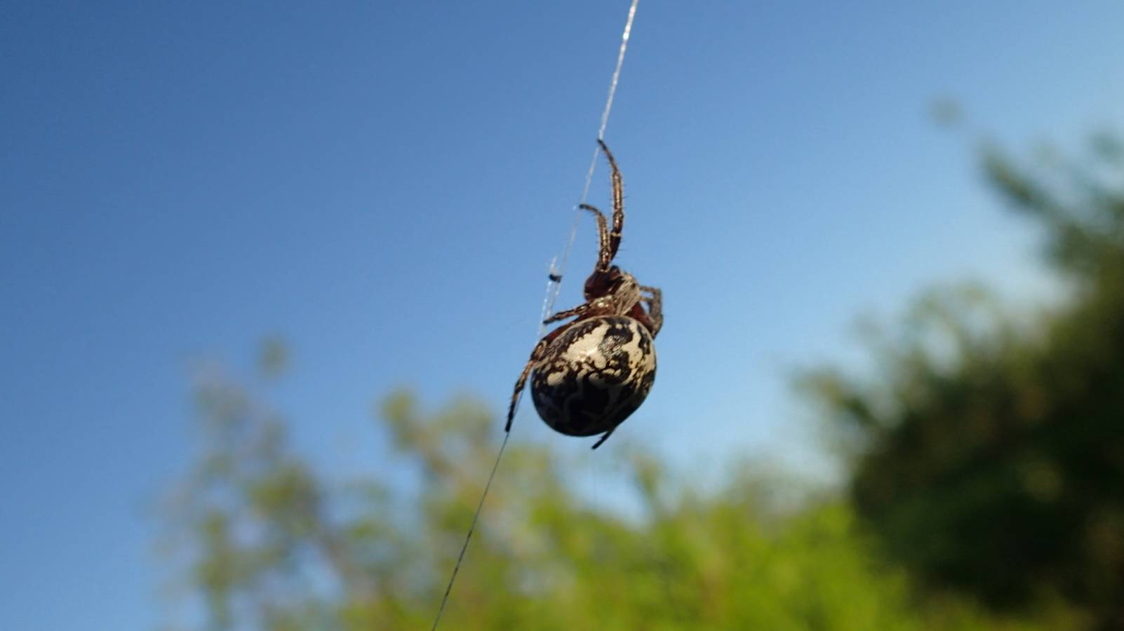 2024.07.09. Истоки Норильска. Посёлок Семёрка! смотреть онлайн