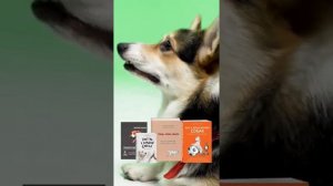 ЗооОптТорг 5 книг о воспитании собаки + ПРОМОКОД