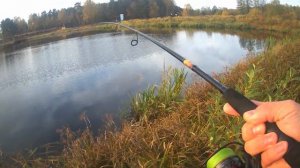 осень , щуки  и POrOLKA)))