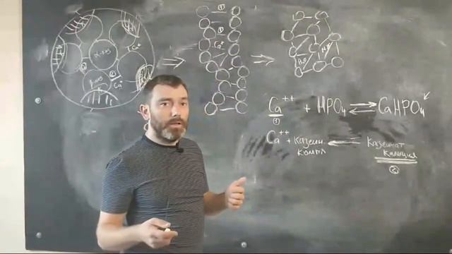 11. Молоко как полидисперсная система. Часть 1 смотреть онлайн