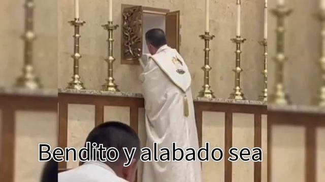 Padre José L Mena, domingo de Corpus Christi смотреть онлайн