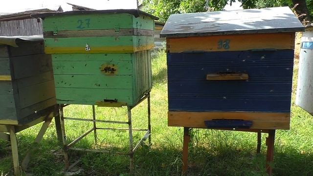 Куда поставить второй магазин? И третий и четвёртый итд... смотреть онлайн