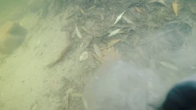 What lies beneath! смотреть онлайн
