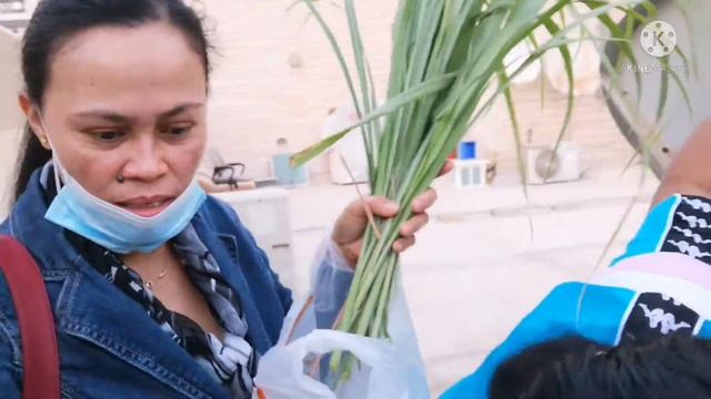 #LEMONGRASS #BASIL LEMON GRASS AND BASIL PLANTS IN ROOFTOP. #VLOGGERS #PLANTS #OFW смотреть онлайн