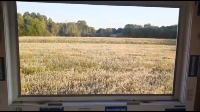 Охота на кабана с вышки. Тест монокуляра. Тепловизор HIKMICRO Lynx PRO 10mm. смотреть онлайн
