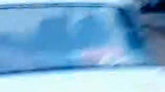 Собака в машине смотреть онлайн