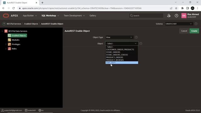 Access Remote Data Via RESTful Services and REST Data Sources PART-1 смотреть онлайн