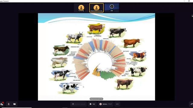 Вебинар по направлению «Селекция и генетика сельскохозяйственных растений и животных», часть 1