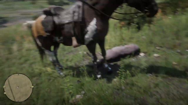 Red Dead Redemption 2 Освежевывание туши