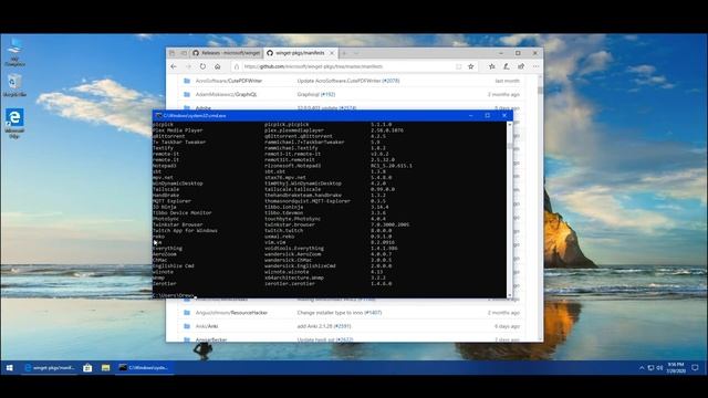 Introducing guinget: an unofficial, Synaptic-like GUI for winget смотреть онлайн