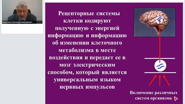 Физиотерапия как энергоинформационная медицина.mp4