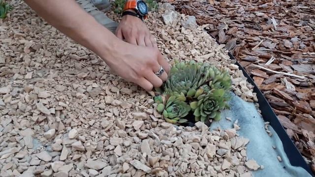 Создание каменного ручья. Ландшафтный дизайн и благоустройство в Уфе. Mashkovsky смотреть онлайн