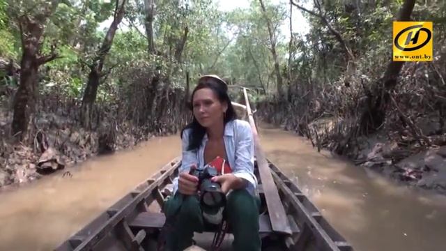 Приключения капитана Врангеля: путешествие во Южному Вьетнаму, мангровые заросли смотреть онлайн