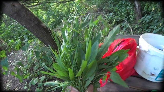 Похід по р.Псел, червень 2020 р. смотреть онлайн