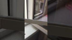 Москитные сетки с плунжерным креплением. Маленький обзор